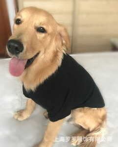  hbOEFA ^ n Jt XEFbg g[i[    ̕ hM[ DOGGYLAND H ~  킢  ybg