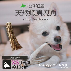 Deerhorn【xsサイズ】 北海道産 鹿角 ペット 犬 おもちゃ 小型犬 プレゼント いたずら防止 おやつ デンタルケア ガム 犬用 鹿の角 天然 無添加 送料無料 チワワ トイプードル ミニチュアダックス ポメラニアン いぬ イヌ チワワ トイプードル