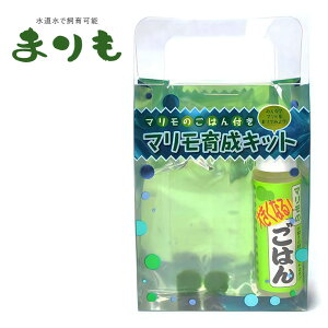 ܂ 琬Lbg kC Ϗܗp 킢CeA  SҌ ȒP ܂̂͂t 2 yY Mtg v[g qǂ R A O[