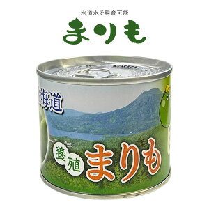 ykCz܂ ʓ CeA Ϗܗp  ObY ňĂ ȒP ^ ANAE } ĕȒP eɈڂĊy ʋlMtg yYɂ