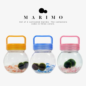 ykCY܂zr {B܂ 2 ȃCeA   Ϗܗp Mtg v[g kCyY G  Mtg v[g 