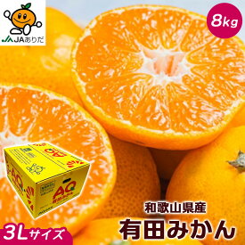 みかん 送料無料 有田 8Kg 和歌山県産 有田 みかん 秀品 3Lサイズ 8kg 茶箱 AQみかん 送料無料 贈答用 ギフト みかん 10Kg箱 和歌山 有田みかん お歳暮 ギフト