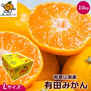 ݂  Lc 10Kg a̎RY Lc ݂ Gi LTCY 10kg AQ݂  p Mtg ݂ 10Kg a̎R Lc݂ Ε Mtg