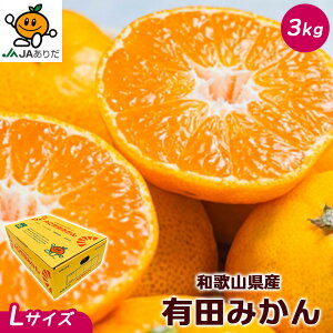 ݂  Lc 5Kg a̎RY Lc ݂ Gi LTCY 5kg AQ݂  p Mtg ݂ 5Kg a̎R Lc݂ Ε Mtg