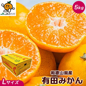 ݂  Lc 5Kg a̎RY Lc ݂ Gi LTCY 5kg AQ݂  p Mtg ݂ 5Kg a̎R Lc݂ Ε Mtg