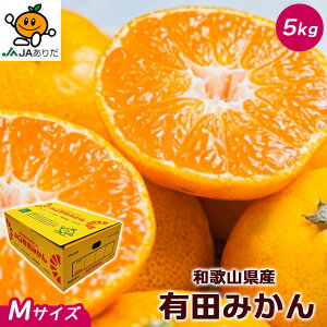 ݂  Lc 5Kg a̎RY Lc ݂ Gi MTCY 5kg AQ݂  p Mtg ݂ 5Kg a̎R Lc݂ Ε Mtg