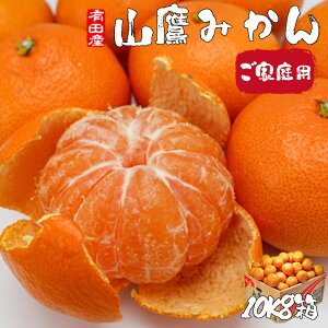 みかん 訳あり 10Kg 送料無料 ご家庭用 和歌山県 有田みかん 山鷹みかん Mサイズ 10Kg ギフト