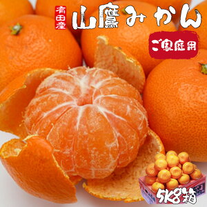 みかん 訳あり 5Kg 小玉 送料無料 ご家庭用 和歌山県 有田みかん 山鷹みかん Sサイズ 5Kg ギフト