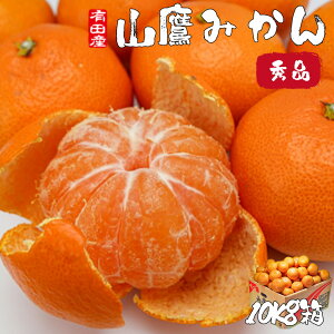 ݂ 5Kg  a̎R Lc݂ R݂ G LTCY 5kg p Mtg