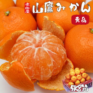 ݂ 10Kg  a̎R Lc݂ R݂ G LTCY 10kg p Mtg Ε