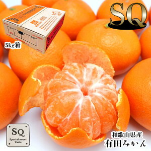 ݂ Lc SQ  2STCY x12xȏ nw a̎RY LcSQ݂ 2STCY 5kg xZT[ʍi