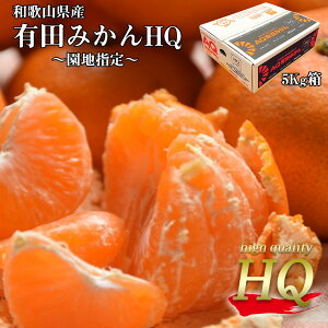 みかん 有田 HQ 小玉 2Sサイズ 糖度12度以上 園地指定 和歌山県産 有田HQみかん 2Sサイズ 5kg 光糖度センサー識別合格済