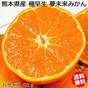 ݂ 8kg  F{Y ݂ 2LTCY 8kg ݂ 8Kg 󂠂 