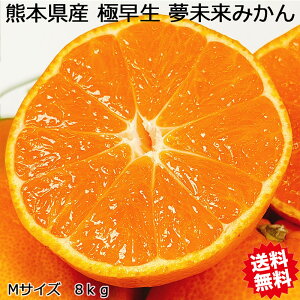 ݂ 8kg  F{Y ݂ MTCY 8kg ݂ 8Kg 󂠂 