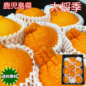 fR| 叫G ݂ sm  Y 叫G Mtg xZT[ xۏ ʂ fR| ܂ 叫G