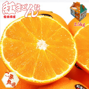 g}hi g܂ǂ ƒp   Q g܂ǂ 2.5kg ݂ MTCY [̂悤ȃvvʓ Q̋Mwl Mtg Ε