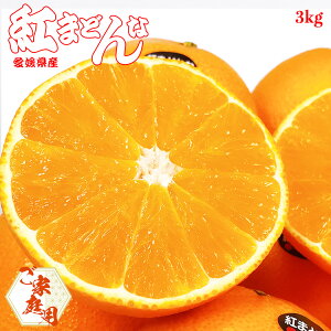 g}hi g܂ǂ ƒp   Q g܂ǂ 3kg 12 󂠂 ƒp [̂悤ȃvvʓ Q̋Mwl 󂠂 ƒp Ε Mtg