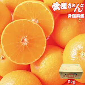 g܂ǂ g}hi Q}hi Q܂ǂ   Q Q܂ǂ MTCY 5kg [̂悤ȃvvʓ Q̋Mwl ƒp ol  Ε Mtg JA