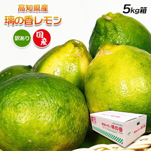  Y 󂠂 mY ̍ M-3L TCY bNXsgp ̂