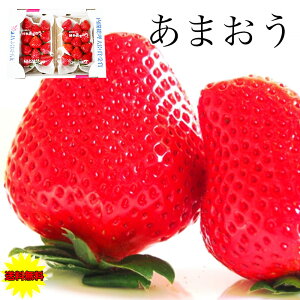 ܂   C`S   Y  ܂ Gi DX 2pbN 540g 270g×2pbN t[c ʕ C`S   DX fbNX Mtg B̃uhC`S ̓