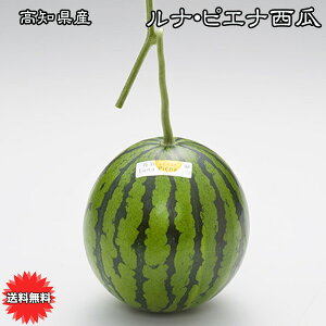 XCJ  Z   mY isGi Z  Mtg  XCJ Ε Mtg