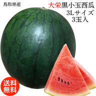 すいか スイカ 鳥取県産 大栄 黒小玉西瓜 3Lサイズ 2.8Kg 3玉入 送料無料 鳥取県 西瓜 大栄 すいか 小玉…