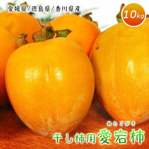 a` Ԋ` Q  쌧 ` S-2LTCY TCY