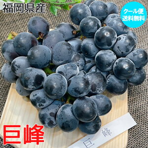 Ԃǂ  ق Y  2[ 600g (300g × 2) Mtg 䒆 Ԃǂ ق N[   Mtg