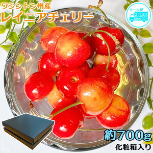 さくらんぼ レーニアチェリー」の人気商品一覧・価格比較 - 価格.com