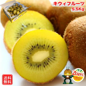 �L�E�C�t���[�c �[�X�v�� �T���S�[���h 5.5kg �L�E�B �L�E�C �j���[�W�[�����h�Y �[�X�v�� �T���S�[���h �L�E�C 37-59�ʓ� ��5.5Kg �������� kiwi Kiwi KIWI