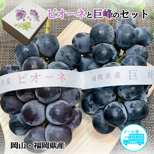 Ԃǂ sI[l   2 Y܂͉RY sI[l    Zbg 1[ 2 v600g Hה Mtg Ԃǂ sI[l N[ 