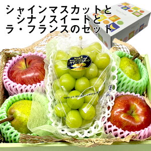   Ԃǂ Zbg  Hc XY VimXC[g  R` 쌧Y tX  R R 쌧Y VC}XJbg  Zbg mȂ l t[c 蕨 Mtg