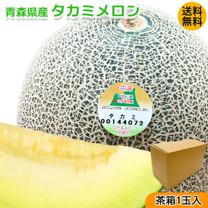   ^J~  ƒp XY ^J~  2ʓ 2.4kg   ^J~  郁 Ìy