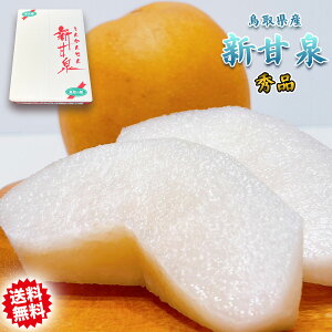 梨 送料無料 5kg クール便無料 新甘泉 しんかんせんなし 鳥取県産 新甘泉梨 秀品 ブランド箱 なし