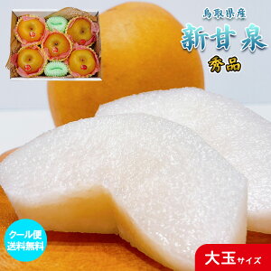    1ʖ500g× 5ʓ VÐ N[֖ 挧Y VÐ Gi ϔ  5ʓ  VÐ  Ȃ iV Mtg p hV̓ Mtg
