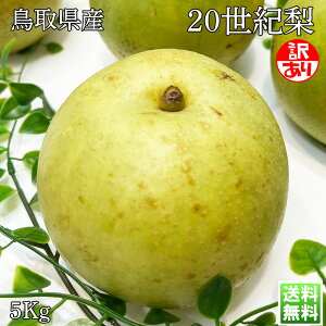  Ȃ 󂠂 \I 挧Y 20I 5kg 7`24ʓ ƒp 󂠂 20I ڂ