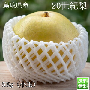  Ȃ \I 挧Y 20I Gi 5kg 10`16ʓ 20I 20seiki p Mtg v[g