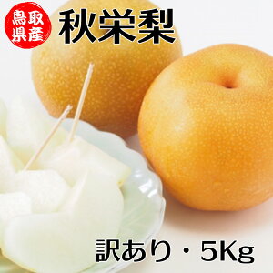   5kg 󂠂 挧Y Hh  5kg 10`22ʓ ƒp 󂠂    Ȃ iV hV̓ Mtg