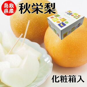   挧Y Hh  Gi 5`6ʓ ϔ p    Ȃ iV hV̓ Mtg