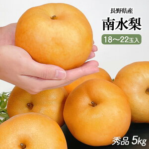  Ȃ  5kg  MB 쌧Y 쐅  Gi 5kg 18`22  Mtg