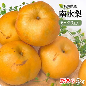  쐅 󂠂  MB 쌧Y 쐅  5kg 6`20  ƒp 