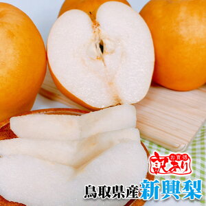  V Ȃ 󂠂 5kg  挧Y V 󂠂  񂱂Ȃ  Ε