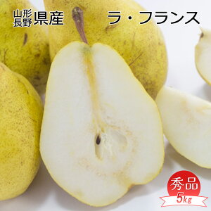 洋ナシ 梨 送料無料 5kg ラ・フランス 山形県または長野県 ラ・フランス 秀品 5kg 12〜20個入 クリーミーな果肉からあるれる美味しさ 果実の女王 梨 洋梨 送料無料 お試し ギフト