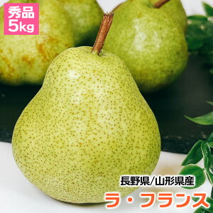 miV   5kg EtX R`܂͒쌧 tX Gi 5kg 12`20 N[~[ȉʓ炠 ʎ̏  m   Mtg