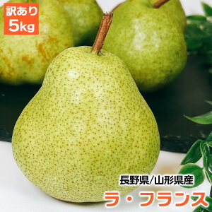 洋ナシ 梨 送料無料 5kg 訳あり ラ・フランス 山形県または長野県 ラ・フランス 5kg 12〜20個入 ご家庭用 クリーミーな果肉からあるれる美味しさ 果実の女王 梨 洋梨 送料無料 お試し