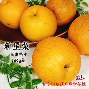  Ȃ 󂠂 5Kg  挧Y V 5Kg 6-22 󏭕i 񂲗 L