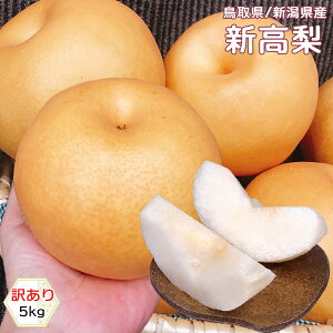  Ȃ iV 󂠂 V܂͒挧Y V  5kg 5`14  󂠂 Ȃ 5Kg   V ɂȂ Ε Mtg