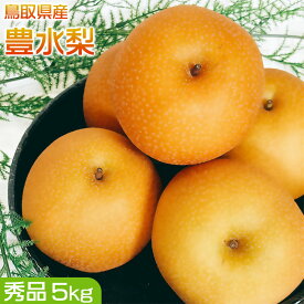 梨 なし 5kg 鳥取県産 豊水 梨 5kg 秀品 梨 豊水 ギフト プレゼント