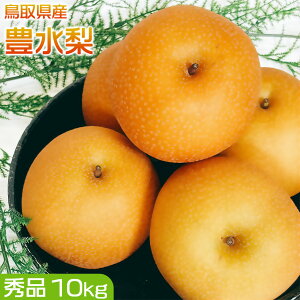 梨 なし 10kg 鳥取県産 豊水 梨 10kg 秀品 梨 豊水 ギフト プレゼント