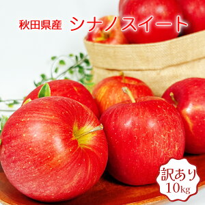  10kg  󂠂 VimXC[g HcY VimXC[g 10kg ʂ   10Kg 󂠂  VimXC[g